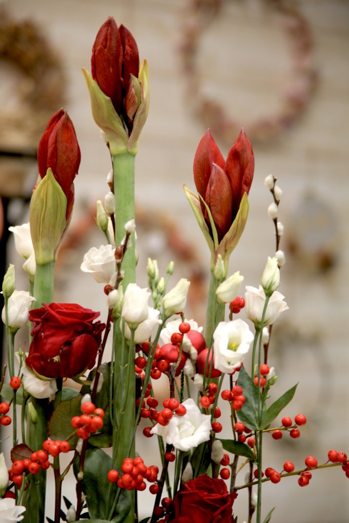 Les lutins de L'Échoppe